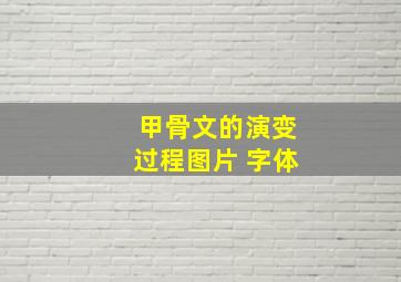 甲骨文的演变过程图片 字体